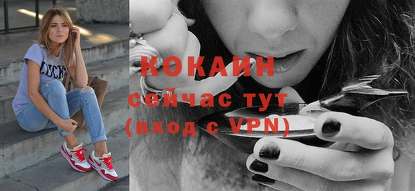 гашик Белая Холуница