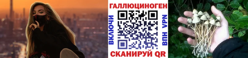 Галлюциногенные грибы Magic Shrooms  мега маркетплейс  Отрадная 